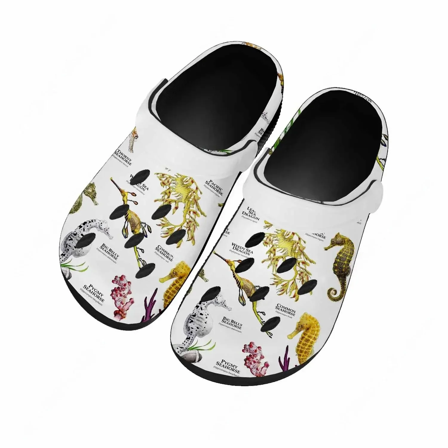 Sandalias Seahorse para Mujer  - Men'S Shoes Quality reseña y precio
